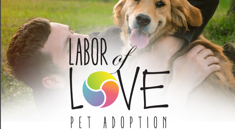 Labor of Love Adoption Event